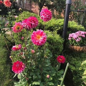 Meet your Posher, Debbie